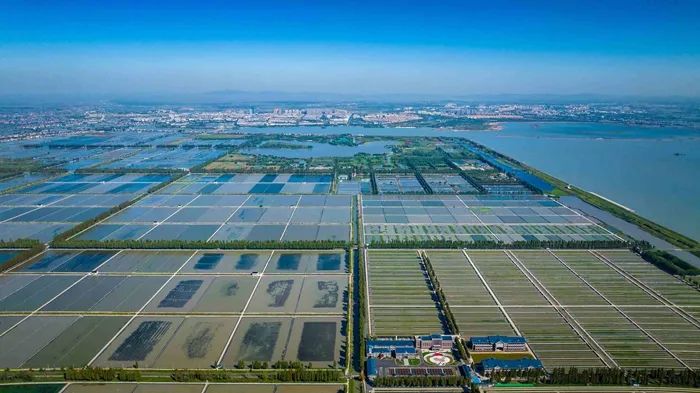 航拍高淳固城湖螃蟹核心區(qū)。高淳區(qū)融媒體中心供圖